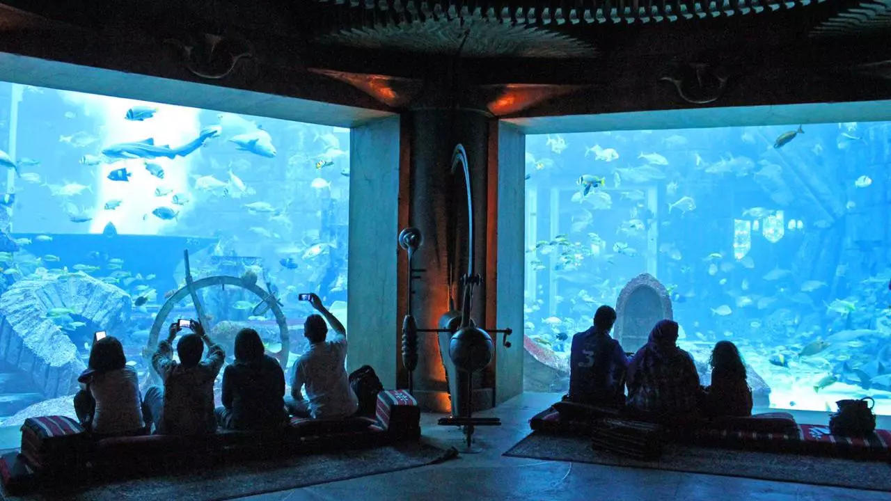 Lost World Aquarium - Image 4