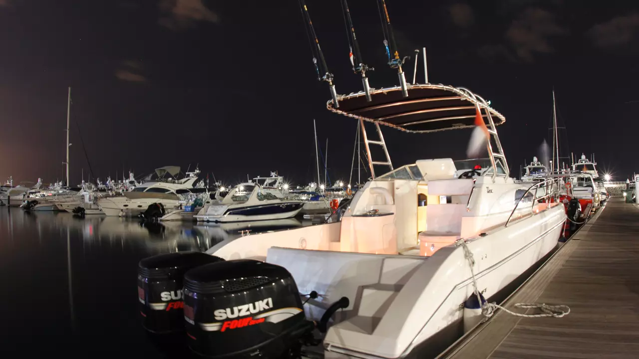 Deep Sea Fishing in Dubai - Image 6