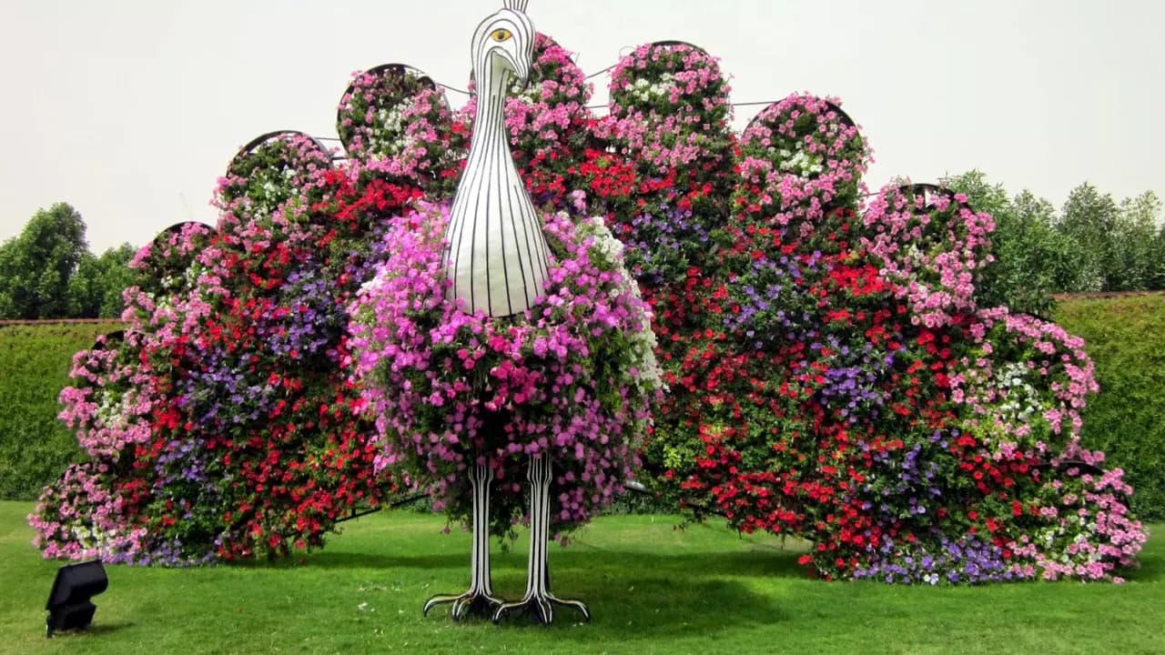 Dubai Miracle Garden - Image 2