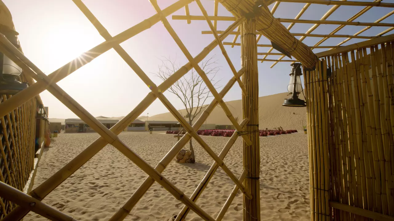 Desert Safari in Abu Dhabi - Image 4