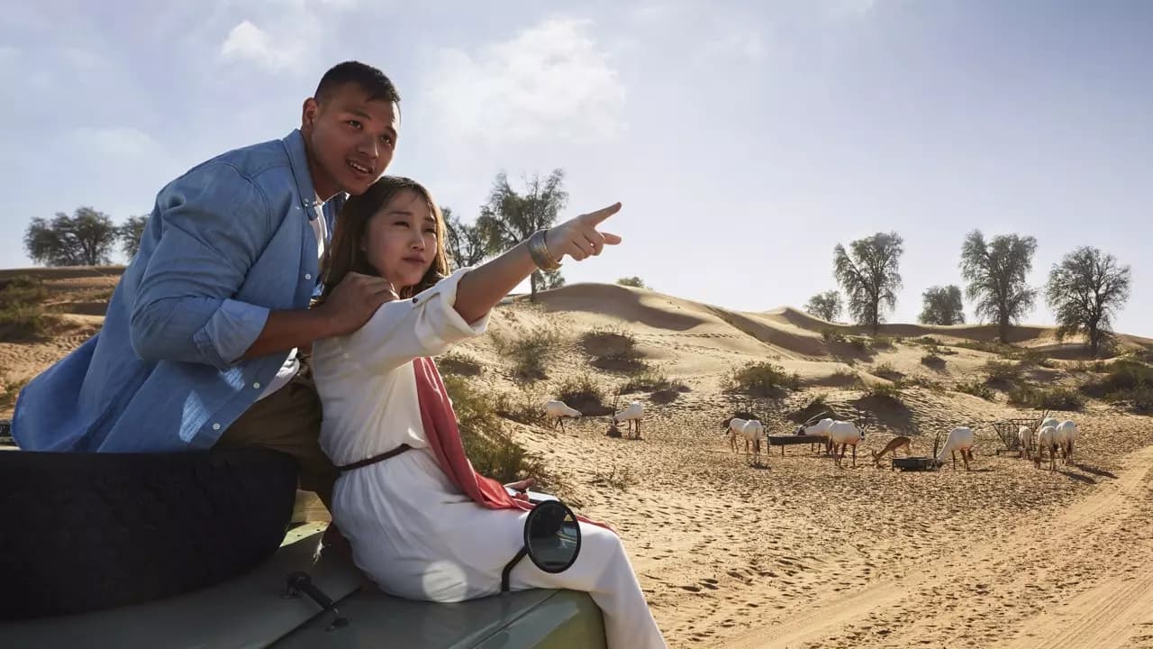 Heritage Safari - Image 8