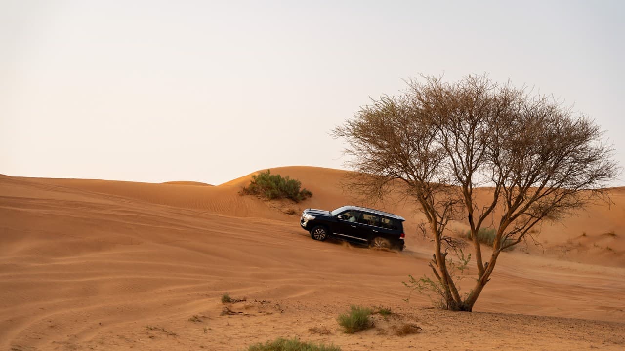 Desert Safari in Ras Al-Khaimah & Fujeirah