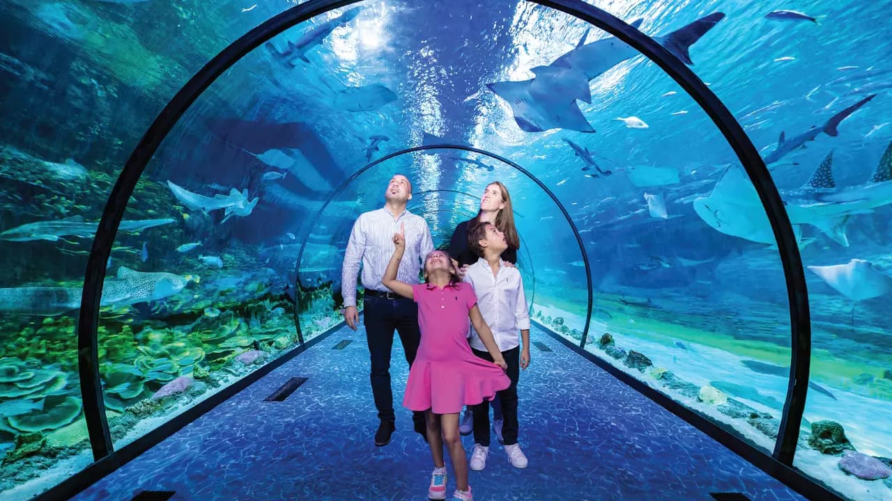 National Aquarium Abu Dhabi - Photo 9