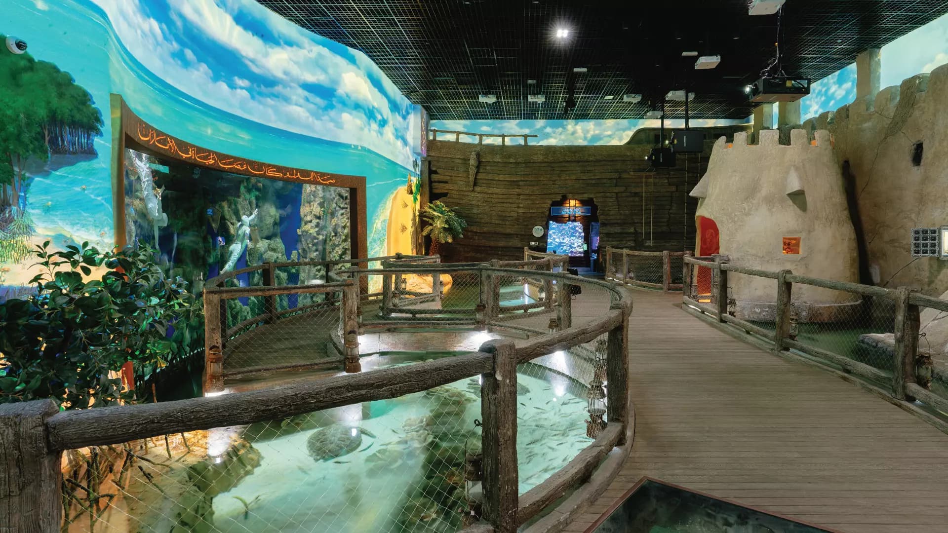 National Aquarium Abu Dhabi - Photo 38