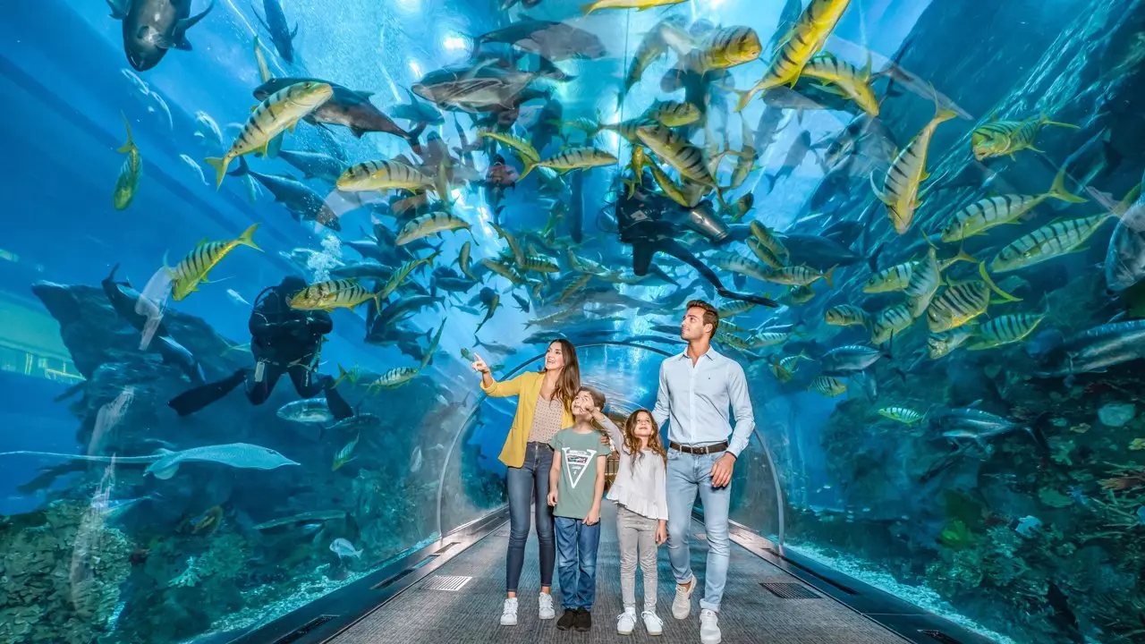 Aquarium and Underwater Zoo at the Dubai Mall - Image 7
