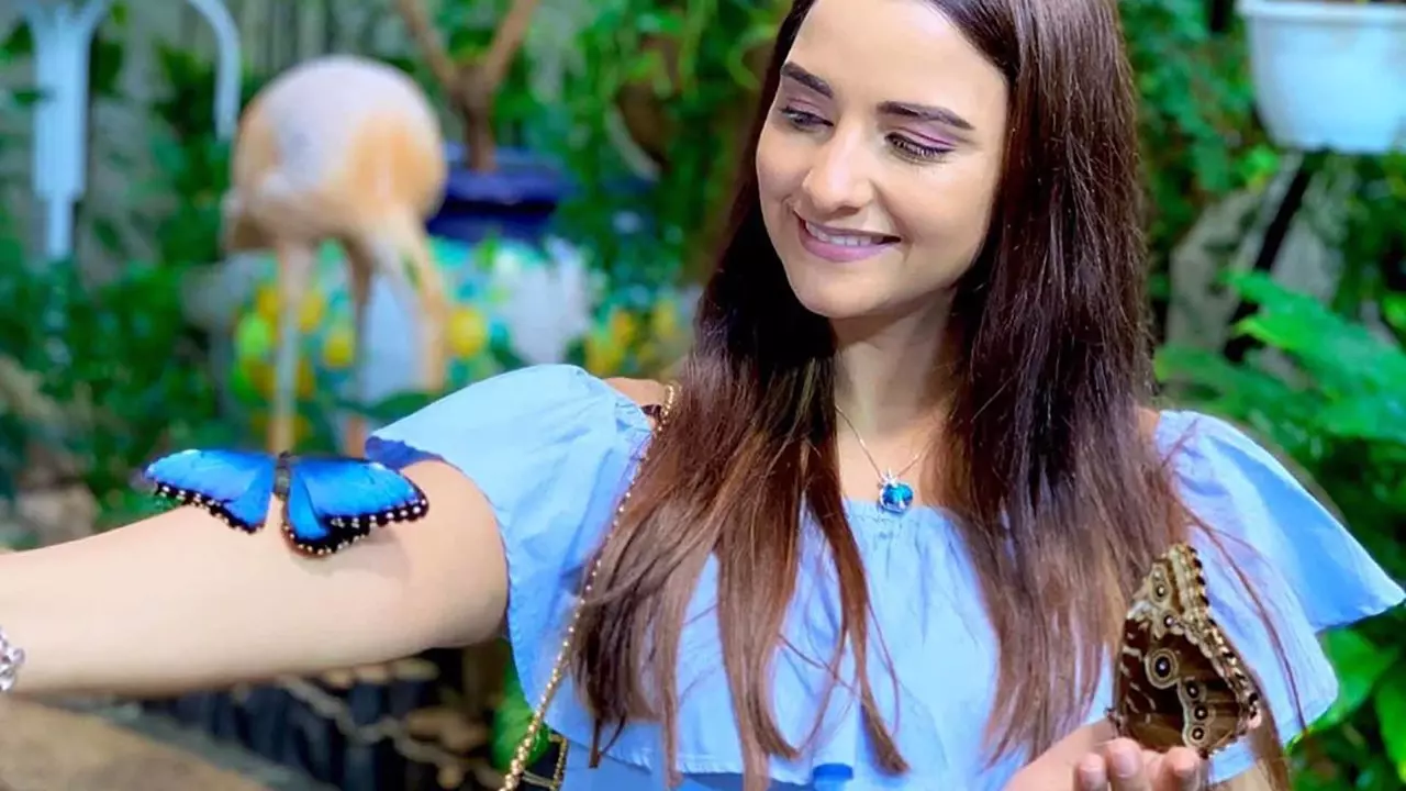 Dubai Butterfly Garden - Image 5