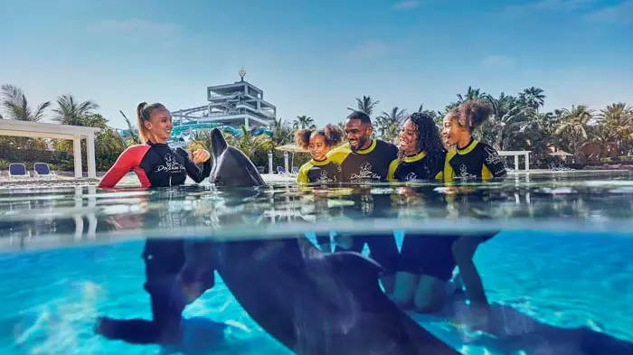 Dolphin Bay at Atlantis the Palm - Image 4