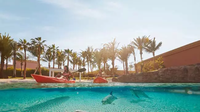 Dolphin Bay at Atlantis the Palm - Image 5