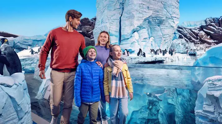 Sea World Abu Dhabi - Image 2