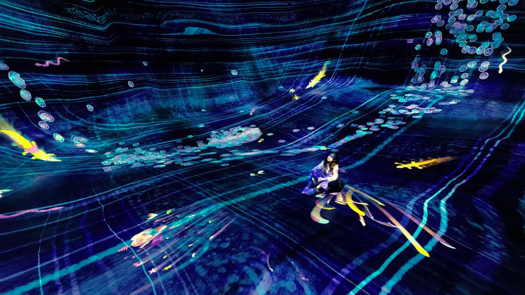 TeamLab Phenomena - Image 3