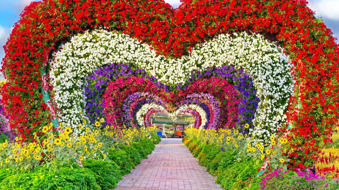 Dubai Miracle Garden
