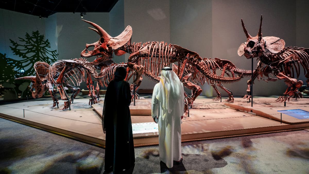 Natural History Museum, Abu-Dhabi - Photo 24