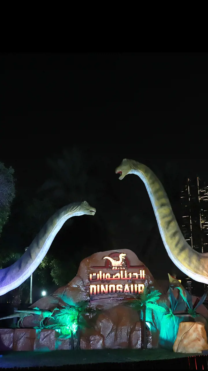 Dubai Garden Glow - Image 7