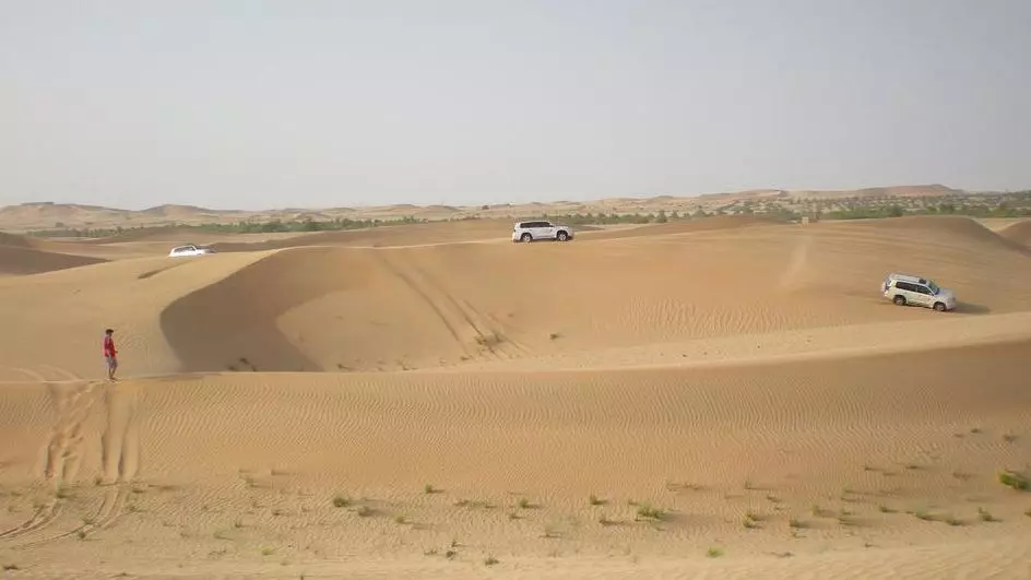 Morning Desert Safari Dubai  - Image 4