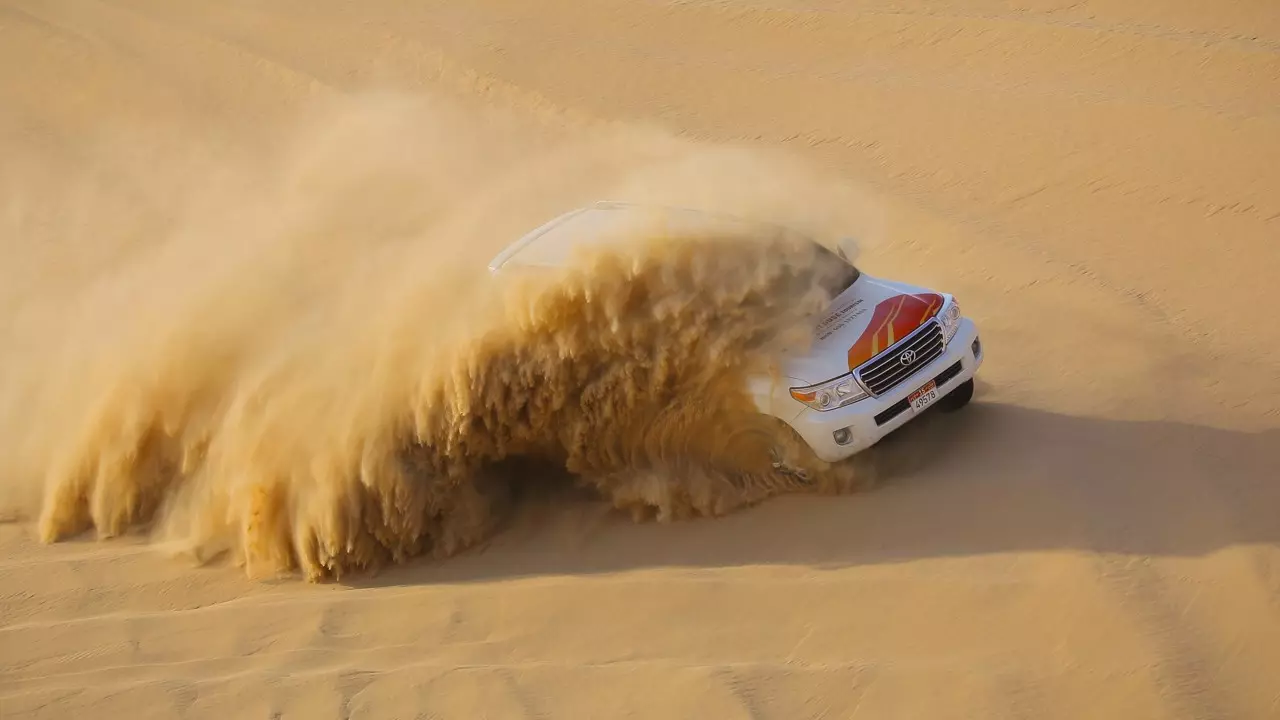 Desert Safari in Abu Dhabi - Photo 28
